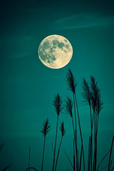 Lune pleine d'herbe par Poster Art Shop