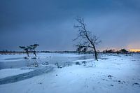 Bleu froid