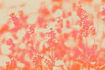 Lavender flowers in warm pastel colors. Modern botanical art by Dina Dankers