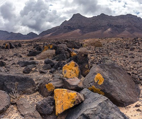 Playa de Cofete, Parque Natural de Jandia, Cofete, Fuerteventura, Canary Islands, Spanje,