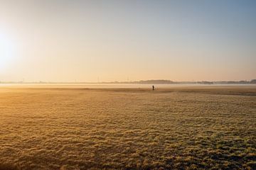 Hardlopende vrouw in een Nederlandse polder van Ruud Morijn