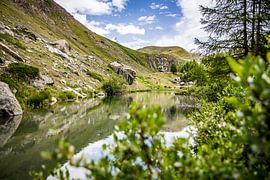 Swiss mountain lake with alpine forest and blue sky by Patrick Kilb