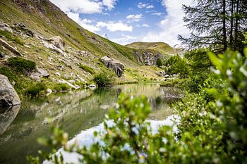 Swiss Mountain Lake with Alpine Forest and Blue Sky
