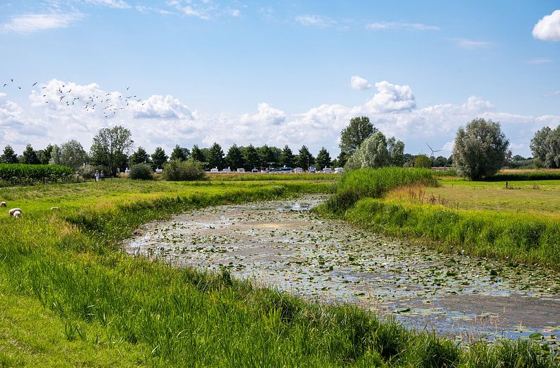 Panoramablick über die grünen Feuchtgebiete am Fluss IJssel, von Werner Lerooy