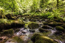 L'Alb dans la vallée de l'Alb près de Bad Herrenalb - Forêt-Noire sur Werner Dieterich