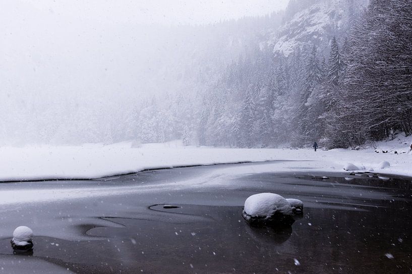 Winter's Silence by Fabrizio Micciche