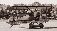 Replica van een Fokker DR.1 driedekker. van Jaap van den Berg thumbnail