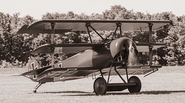Replica van een Fokker DR.1 driedekker. van Jaap van den Berg