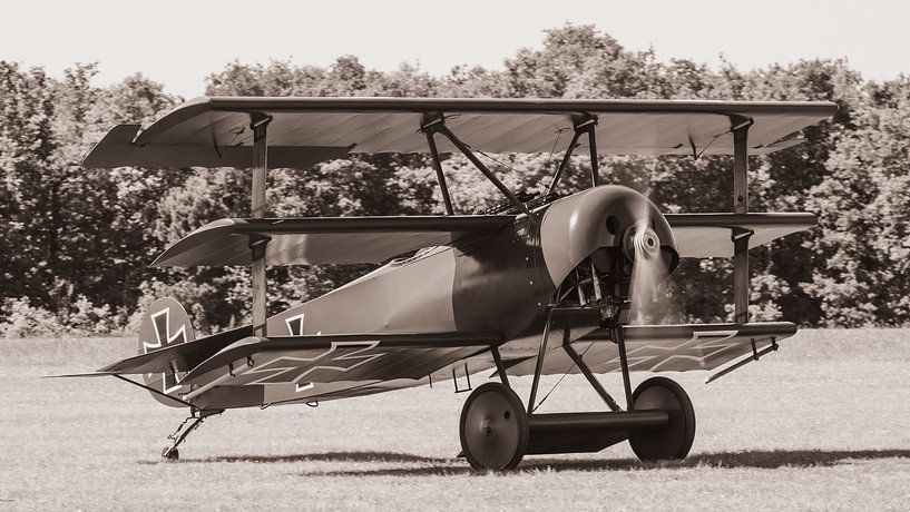 Replica van een Fokker DR.1 driedekker. van Jaap van den Berg