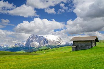 Seiser Alm panorama in de Dolomieten tijdens de lente