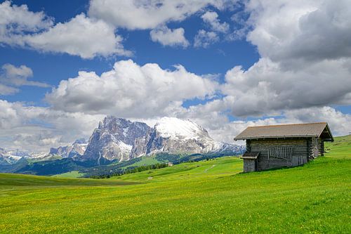 Panorama de Seiser Alm dans les Dolomites au printemps