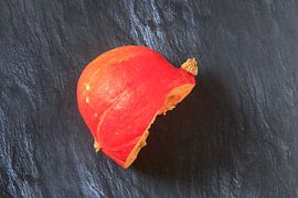 Hokkaidokürbis von Thomas Jäger