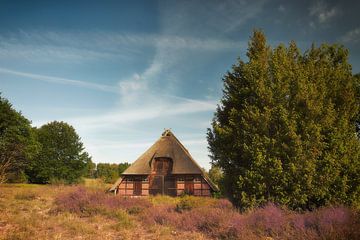 Das Haus des Schäfers in der Lüneburger Heide von Dieter Ludorf