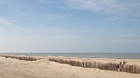 Freedom at the beach