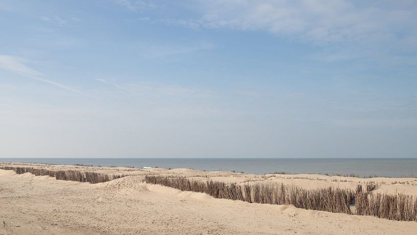 Freedom at the beach by Captured Created by Cathleen