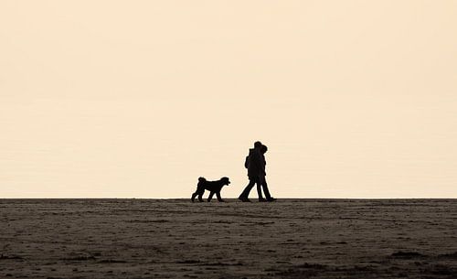 Wandelen over het strand in Zoutelande
