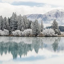 Winter landscape, Twizel, New Zealand by Thomas van der Willik