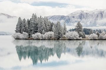 Paysage hivernal, Twizel, Nouvelle-Zélande sur Thomas van der Willik