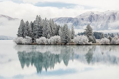 Winter landscape, Twizel, New Zealand