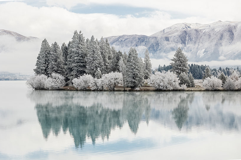 Winter landscape, Twizel, New Zealand by Thomas van der Willik on