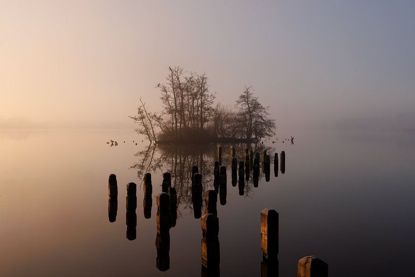 Bird Island by Thijs Friederich