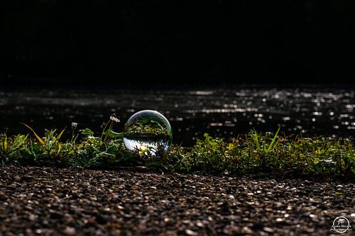 Orb en waterkant