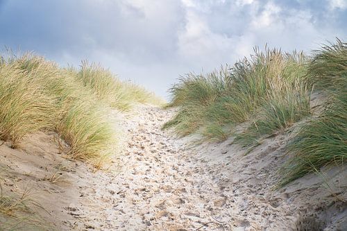 Strandoversteek in Denemarken aan zee
