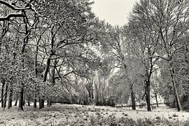 Gerendal von Rob Boon