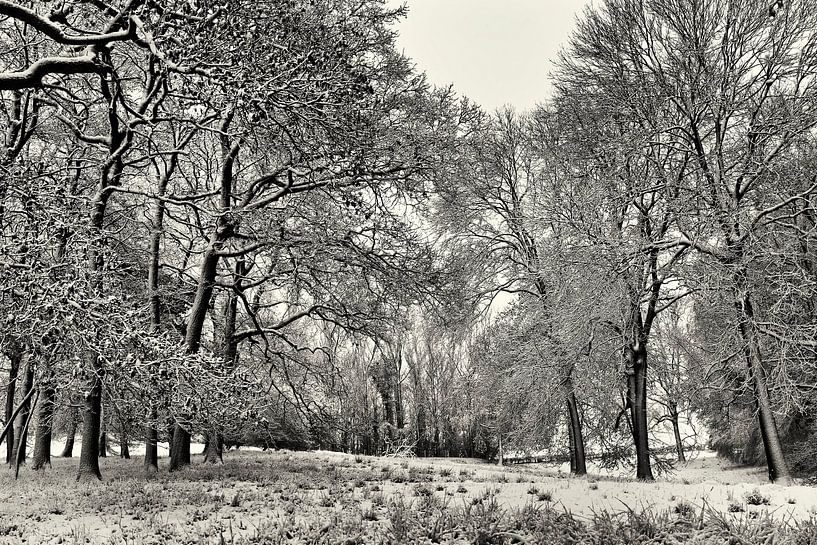 Gerendal van Rob Boon