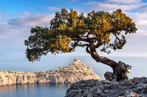 Mediterranean coast