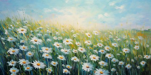 Field with daisies