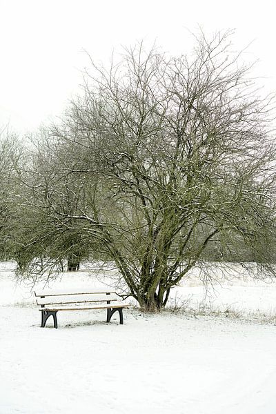 Parkbank im Winter von Heiko Kueverling