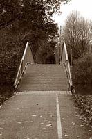 Eine kleine Fahrradbrücke, die über ein Gewässer im Park führt.