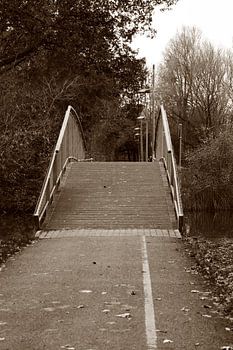 Eine kleine Fahrradbrücke, die über ein Gewässer im Park führt.