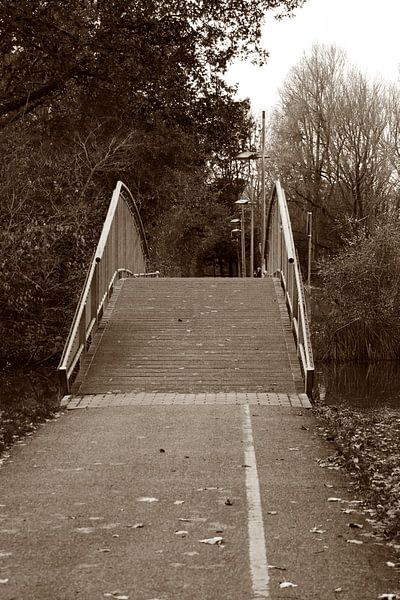 Eine kleine Fahrradbrücke, die über ein Gewässer im Park führt. von Dennis van der Geest