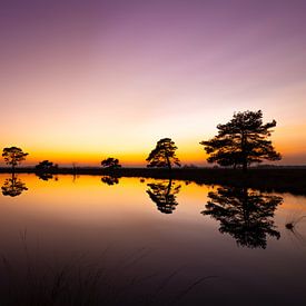 silhouettes de la nature sur snippefotografie