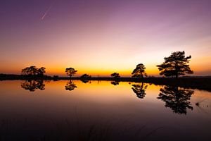 Natur-Silhouetten