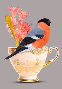 Finch on a cup