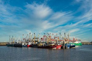 Fischereischiffe im Hafen von Lauwersoog