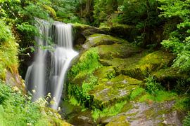 Triberger Wasserfall von Gisela Scheffbuch