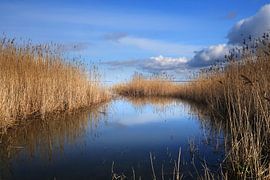 Saaler Bodden near Wustrow on the Darß 5 by Jörg Hausmann