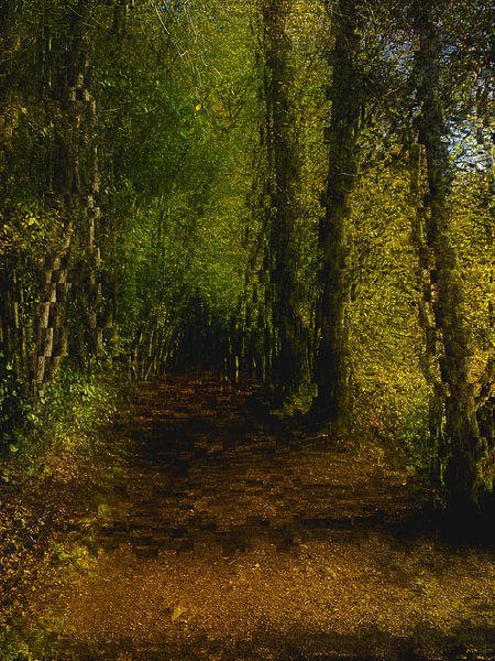 Forest Abstraction #6 by Studio Keserű