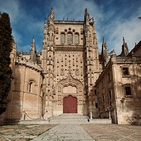Kathedraal in Salamanca van Jan Maur