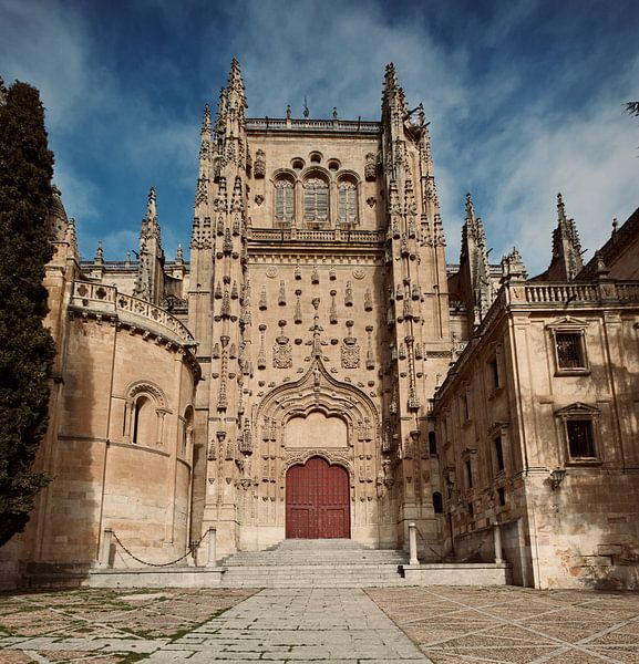 Cathedral in Salamanca by Jan Maur