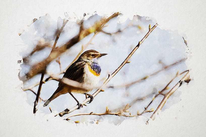 Bluethroat by Jan Bouw