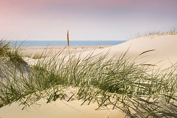 Nordsee Charme und Eleganz