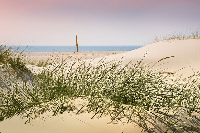 Nordsee Charme und Eleganz von Reiner Würz / RWFotoArt