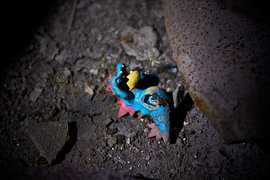 Lost friend by RednaS Photography