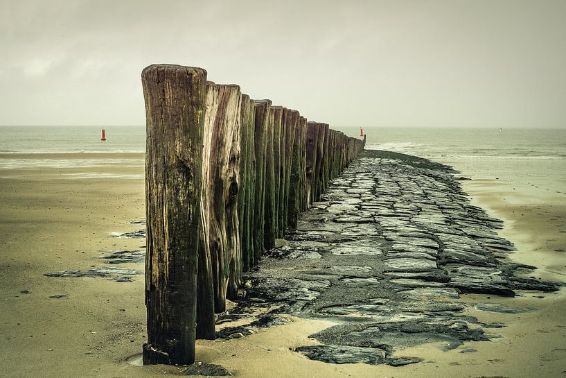 Die Küste von Zeeland von Tina Linssen