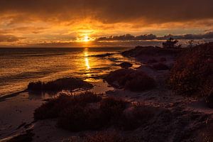 Ostseeküste bei Klintholm Havn in Dänemark